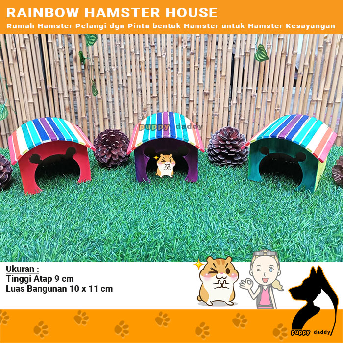 RAINBOW HAMSTER HOUSE - RAINBOW Hamster HOUSE
