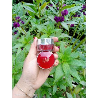 Jelly pelicin elcy beauty original