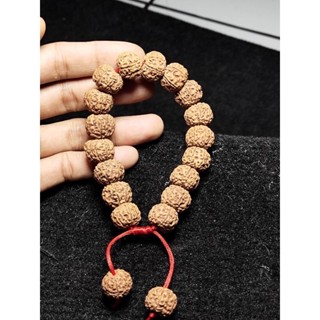 Rudraksha mukhi สร้อยข้อมือ 7 ขนาด 13_16 มม.