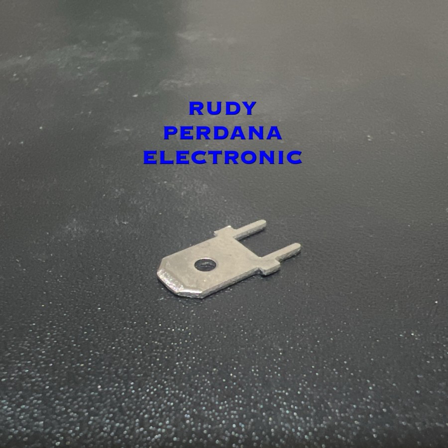 Skun SEKUN PIN TERMINAL สายแบน 6.3 ชายชาย DJ610-6.3x0.8 PCB