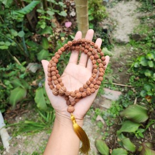 Rudraksha Tasbih บรรจุ 99+ ผู้ให้บริการ