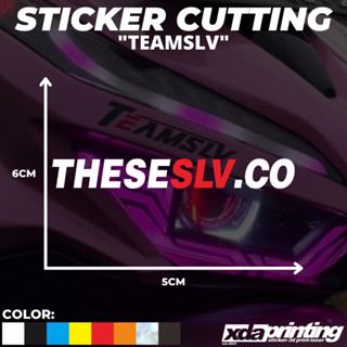 สติกเกอร์ ลาย Theslv.Co TEAMSLV