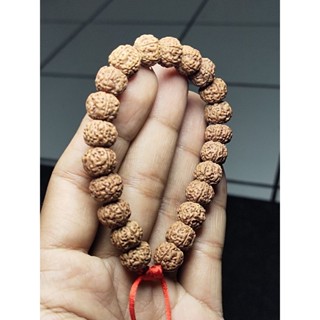  Rudraksha mukhi สร้อยข้อมือ 6 ขนาด 10_13 มม.