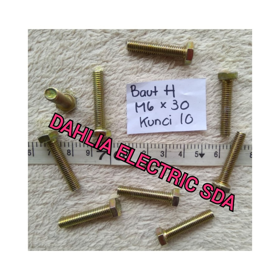 BOLT H M6X30********