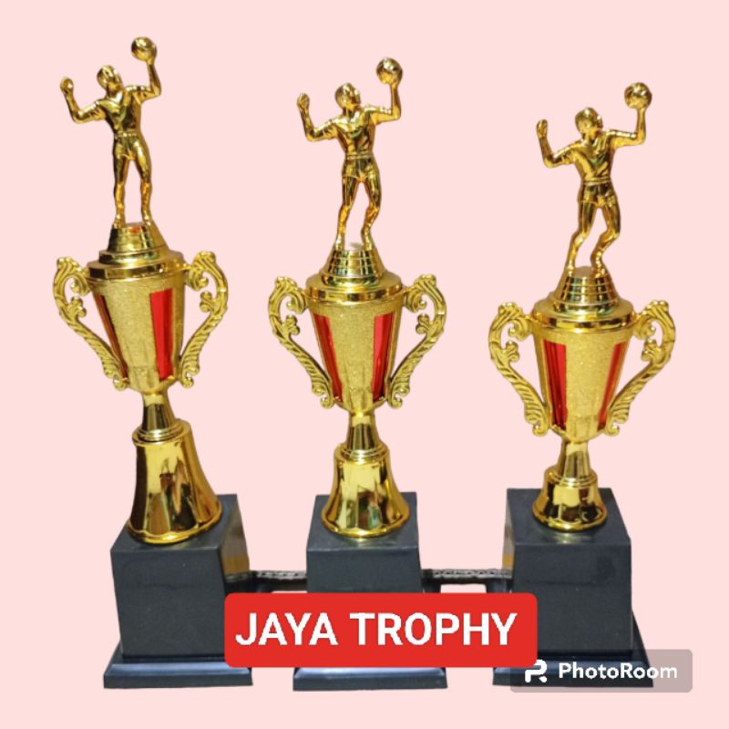 VOLLEYBALL CUP SET 123 CK02