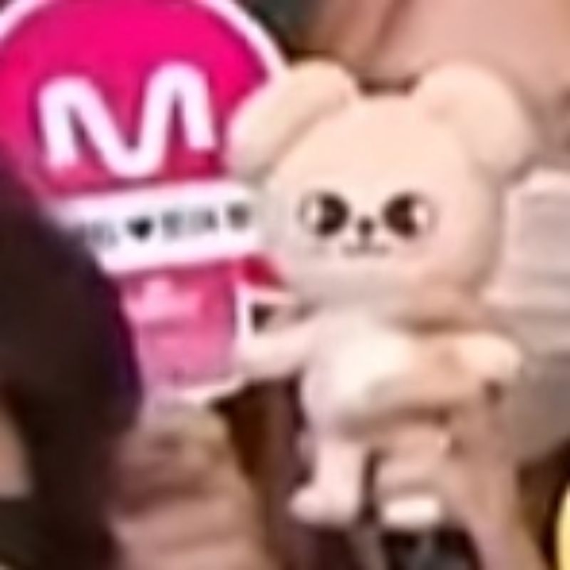 SKZ Req*************