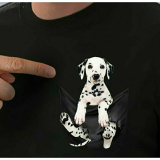Dogie CANE CORSO, PUPPIES GOLDEN, LABRADOR, TEKEL, DALMATIAN, CHIHUAHUA, ENGLISH BULLDOG, FRANCH BULLDOG, ROUGH COLLIE, SELTIE