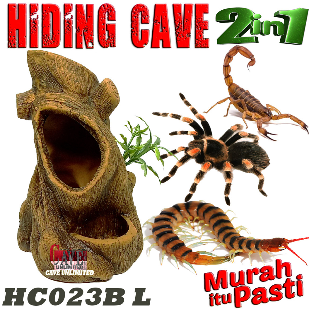 HC023B 2IN1 HIDING CAVE + น้ําเคลือบบ้านซ่อนลูกไม้สําหรับปลูกและดื่ม HIDDINGCAVE PLACE REPTILEA SCOR