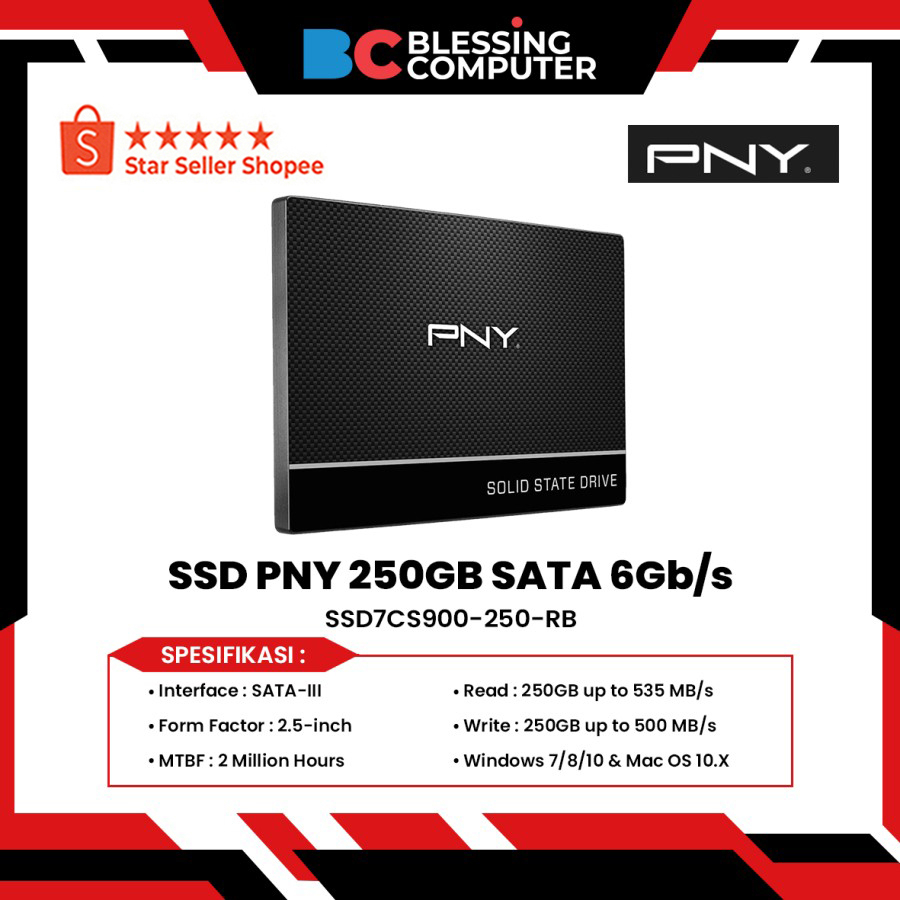 SSD PNY 250GB SATA 6Gb/s SSD7CS900-250-RB
