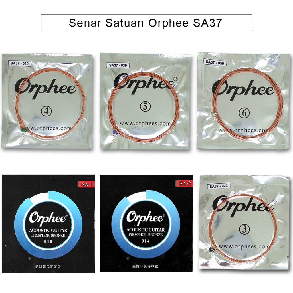 Orphee SA Single String Acoustic Single String