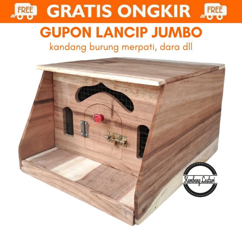 Pagupon gupon นกพิราบ นกเขา terrace/laque