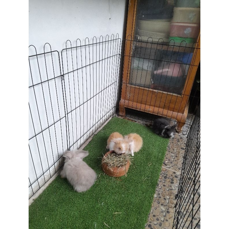 PAGER CAGE UK 60****