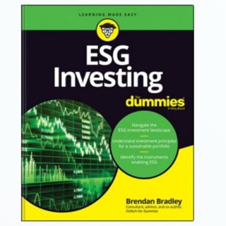 Esg การลงทุน สําหรับ Dummies