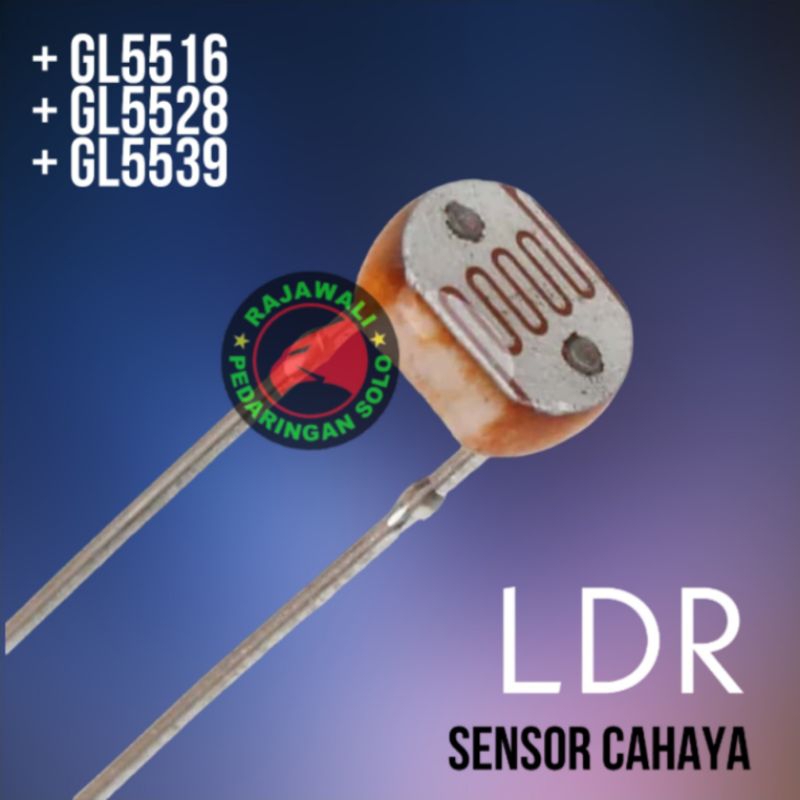 CAHAYA LDR LIGHT SENSOR GL5516 GL5528 GL5539 LDR SENSOR