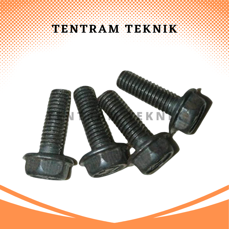 MATA Planer Eye Bolt เบอร์ 10 บรรจุ 10 ชิ้น / Planer Eye Bolt เบอร์ 10 (10 ชิ้น) / Bolt เบอร์ 10 10 