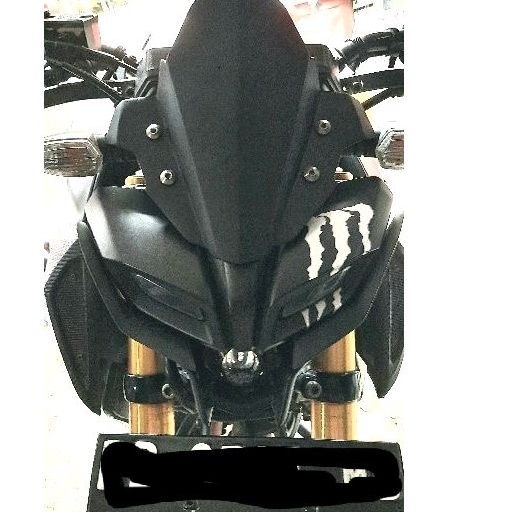 YAMAHA MT15 WINGLET*
