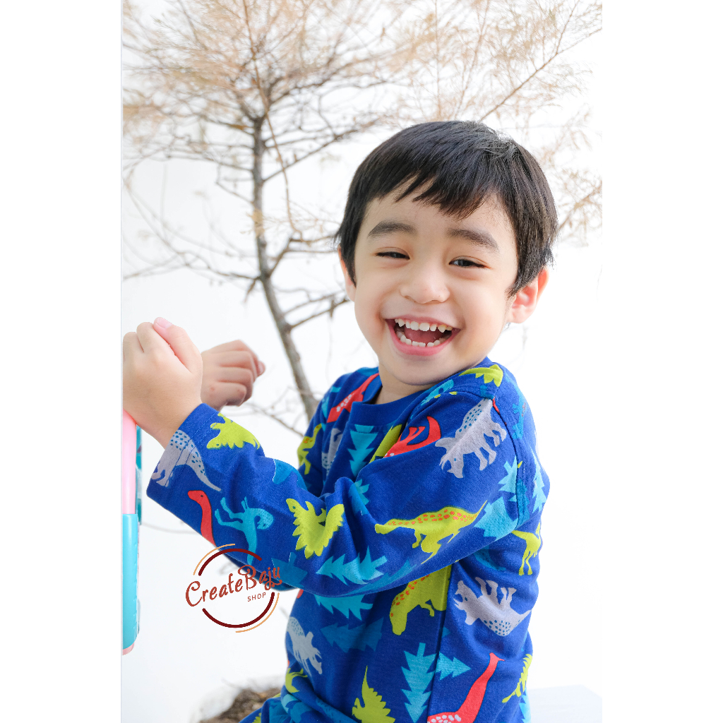 DINO CEMARA BOYS เสื้อยืด PAJAMAS 1-7 ปี LONG-SLEEVED CHILDRENS SLEEVE SLEEVES SLEEVE SLEEVES SLEEVE