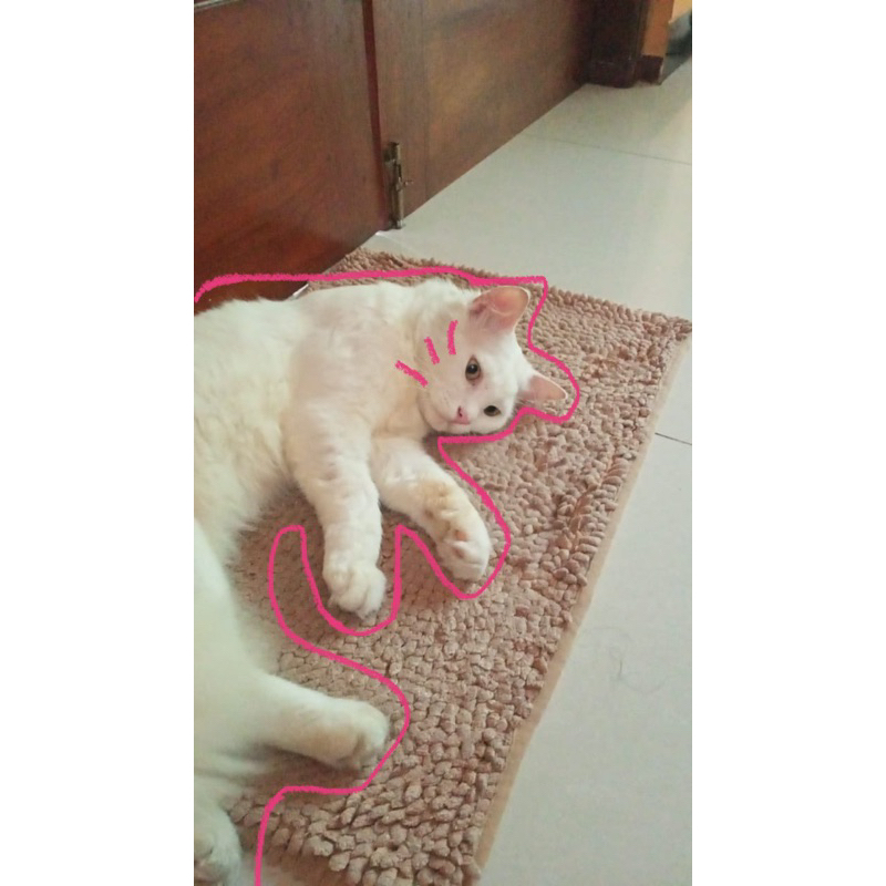 จองแล้ว event*******