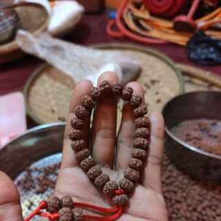 Rudraksha mukhi สร้อยข้อมือ 6 ขนาด 11_1 มม.