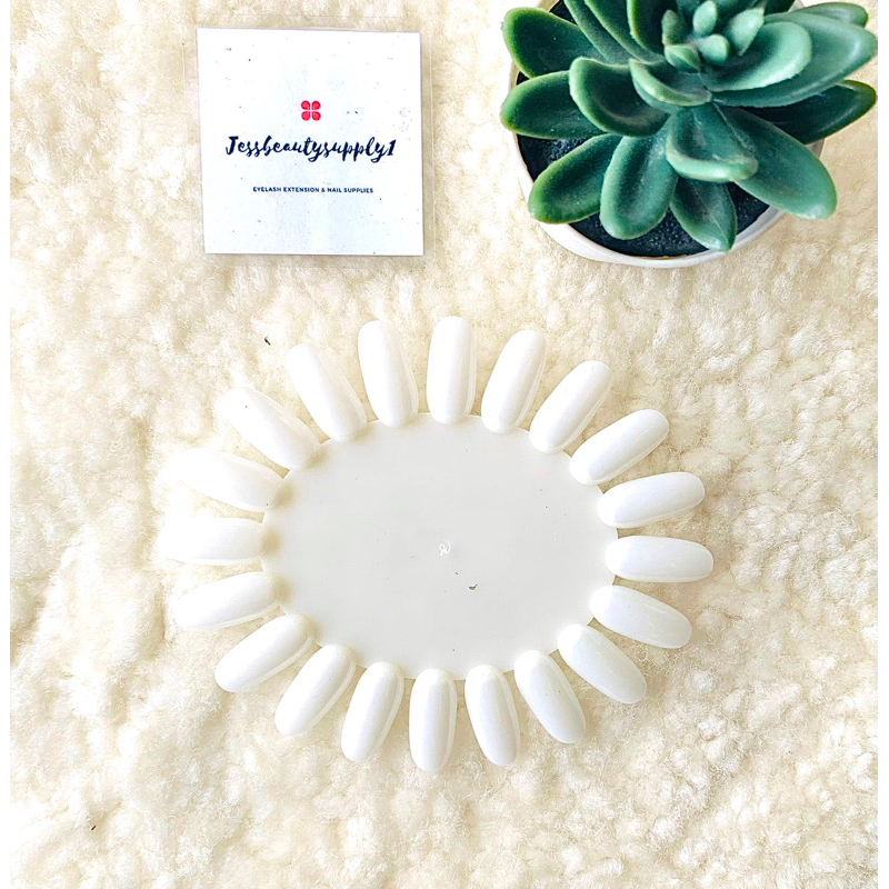 สีล้อโชว์เล็บ / สียาทาเล็บ 20 Sloth Chart สีเล็บ Oval Palette Ring Tip Nail Art