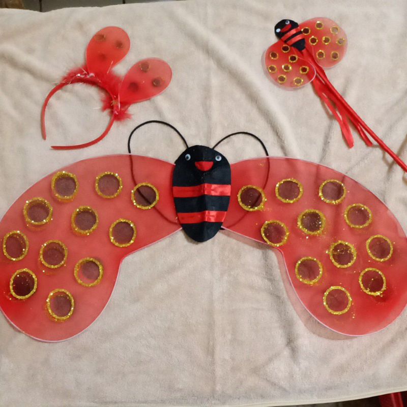 CHILDRENS BEE WINGS2