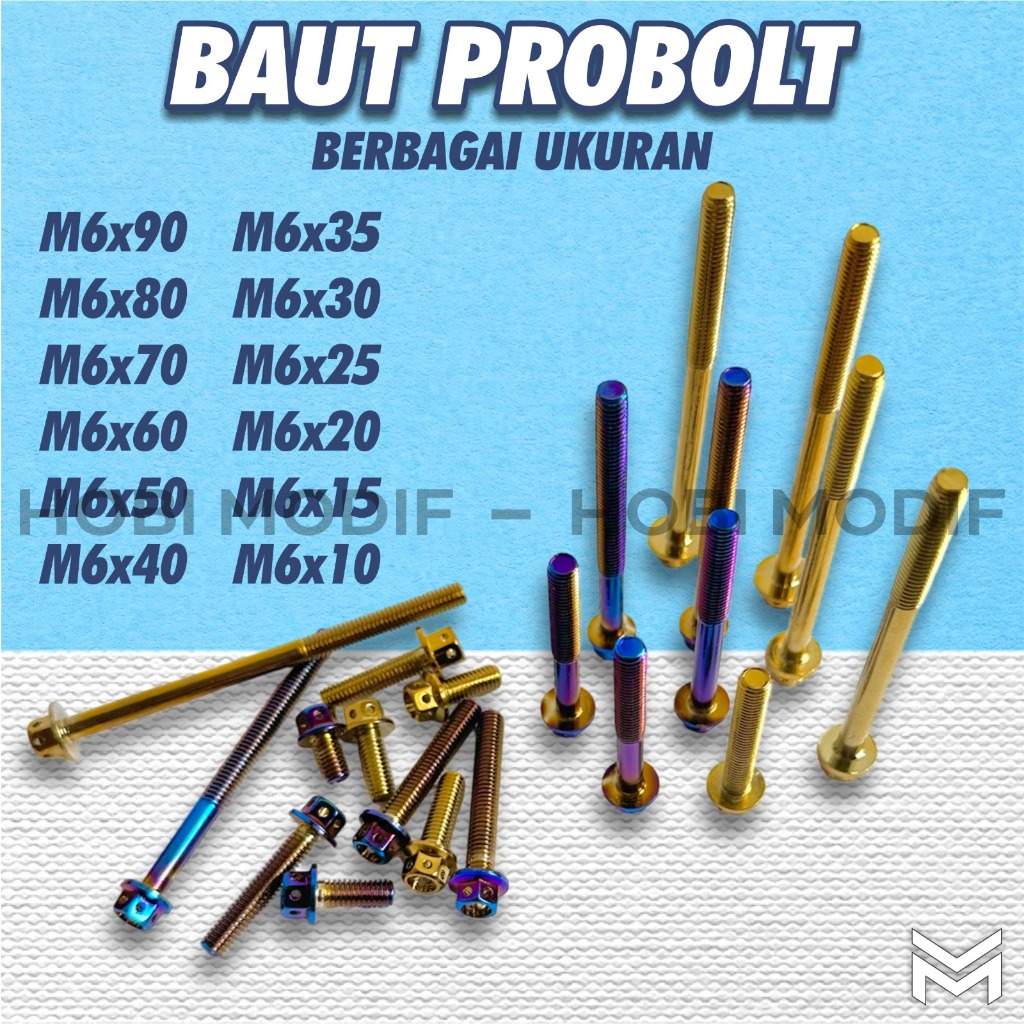 PROBOLT BOLT ดอกไม้ที่ถูกที่สุด 1 ชิ้น PROBOLT UNIVERSAL THREAD 10 M6x10, M6x15, M6x20, M6x25, M6x30