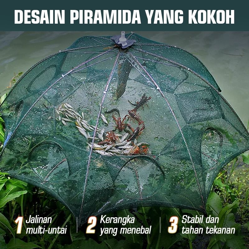 UMBRELLA TRAP FISHING NET TRAP FISHING NET TRAP FISHING SHRIPP CRAB HOLE 8 Premium