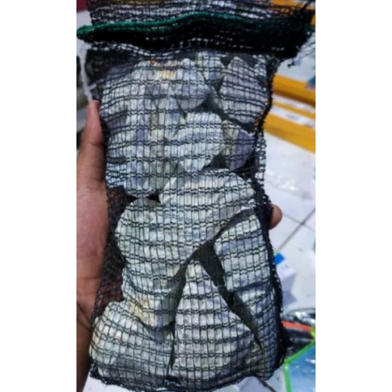 Zeolite 1kg plus ถุงตาข่ายพร้อมใช้/สื่อกรอง zeolite/สารกรอง zeolite/หิน zeolite