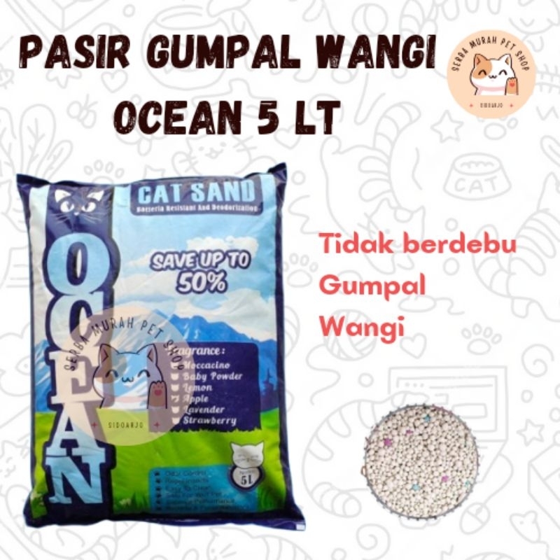 OCEAN SAND 5LT******