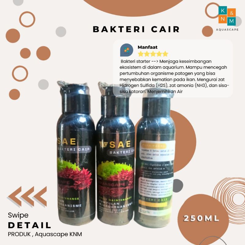 SAE Liquid Bacteria Aquarium Aquascape Aquarium