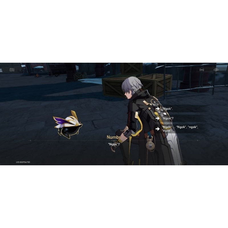 ! Caelus HSR เครื่องแต่งกาย ไซซ์ M แบรนด์ Wetrose รวมวิกผม