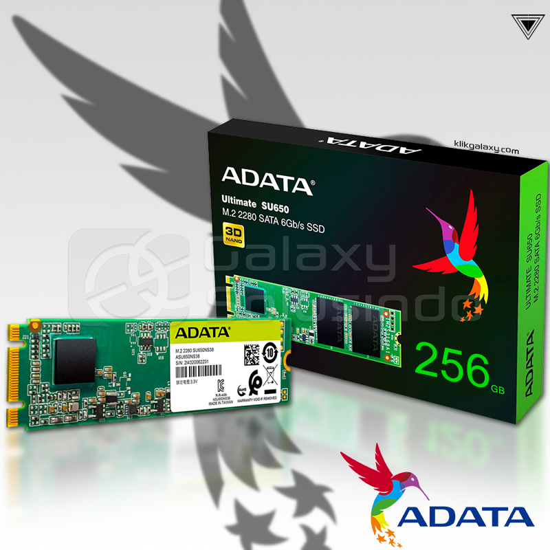 Adata SSD Ultimate SU650 M.2 SATA 256GB