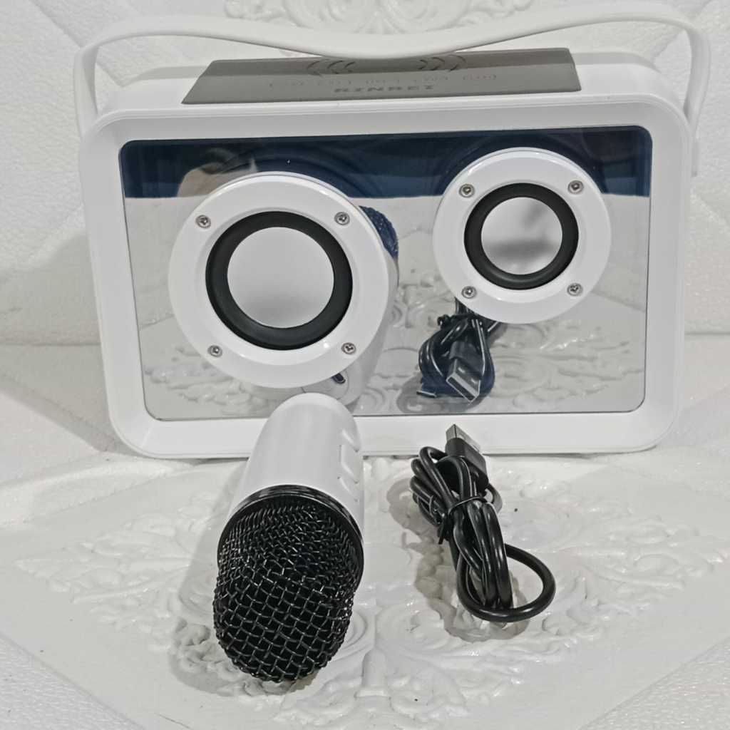 RINREI BLUETOOTH KARAOKE SPEAKER | SR-888