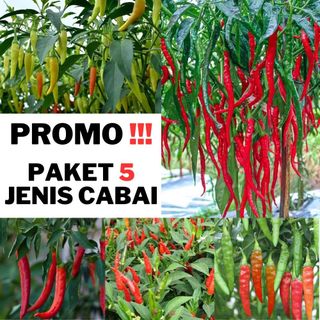 PROMO PAKET 5 MACAM BENIH CABAI MUDAH TUMBUH CABE RAWT SAYURAN LENGKAP : Budidaya Sayuran Segar dan Sehat di Rumah Sendiri Dari Biji