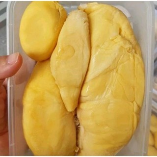 TERMURAH PREMIUM BUAH DURIAN MONTONG PALU PARIGI SULAWESI 500 gr Original HALAL