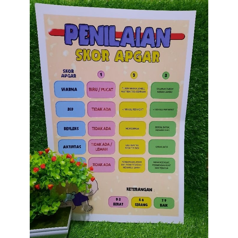 โปสเตอร์ประเมิน Apgar Score