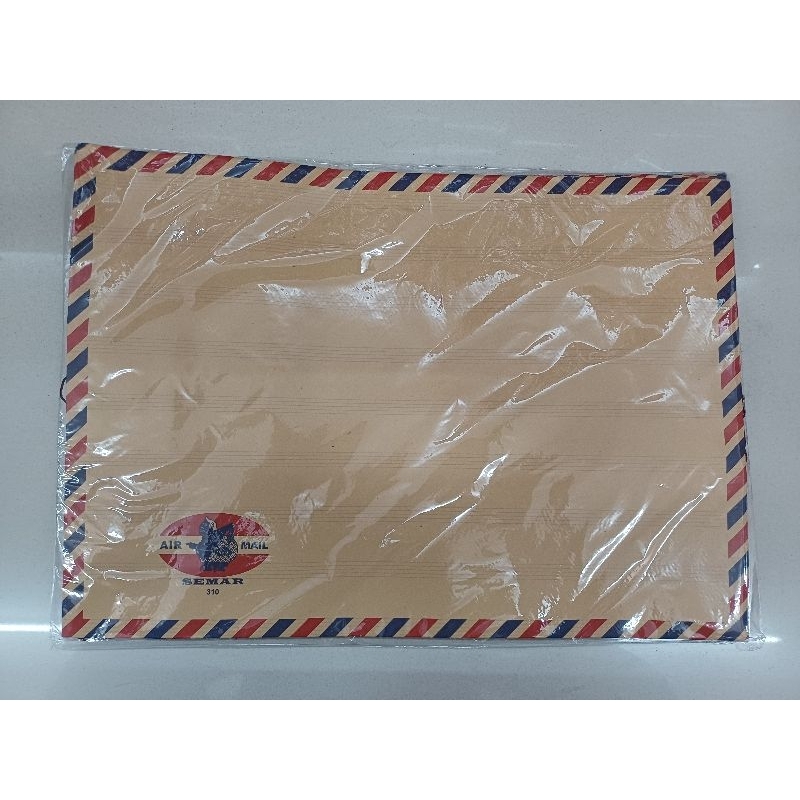 Airmail 310 String Envelopes (10 ชิ้น)/ Job Application Envelopes