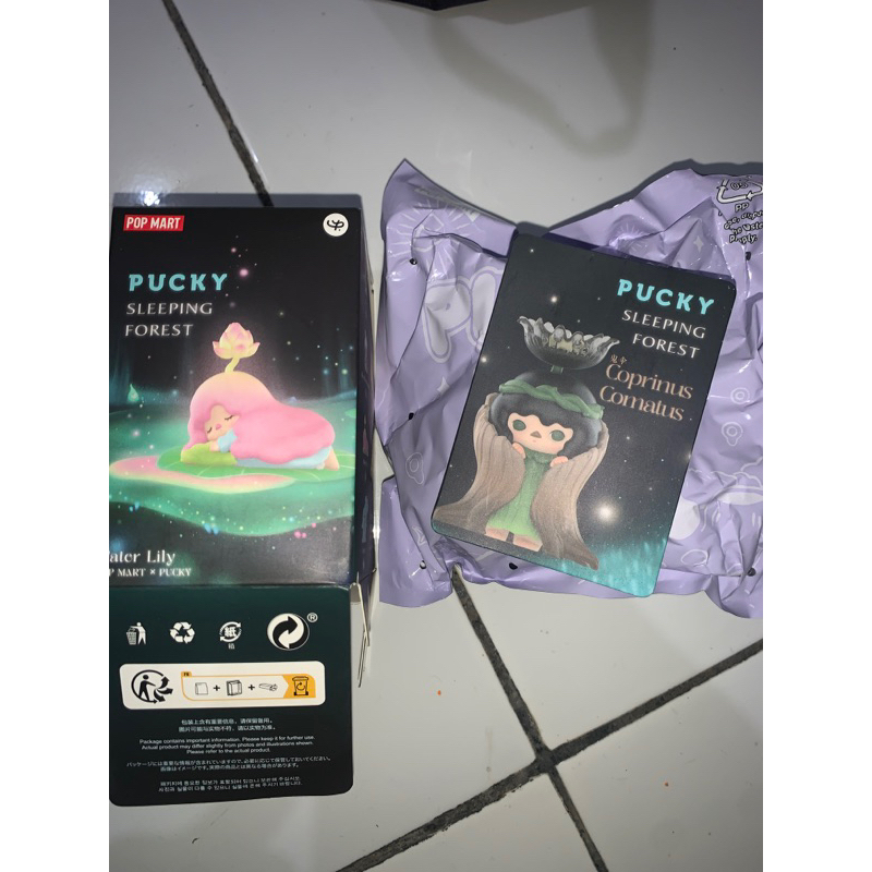 PUCKY Sleeping Forest (SELECTED)