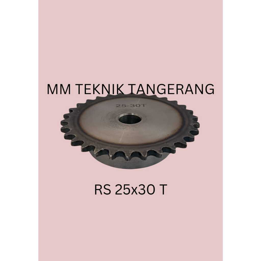 เฟือง RS 25 x 30 T เกียร์โซ่เกียร์เดี่ยว Z 30T RS25 -1 25Z30 25X30T 25-1 ประเภท B