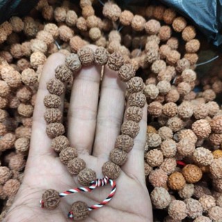 Rudraksha mukhi Lucky Bracelet 5 (หน่วย) ของแท้