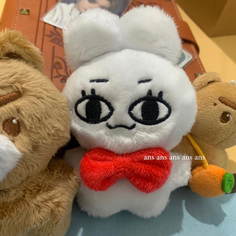 Pashmina JAEMINBUN DOLL 10ซม