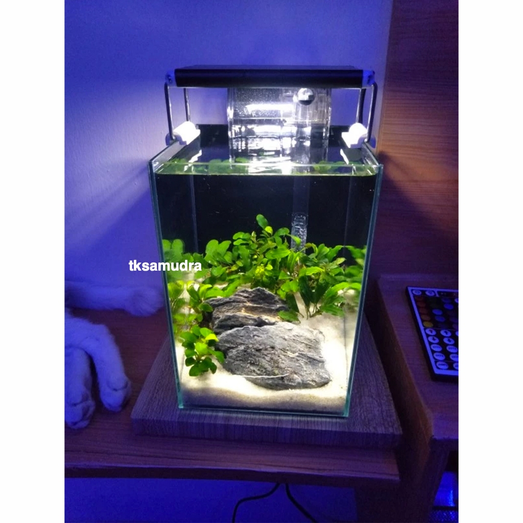 Nisso Baahari Premium Solitary Aquarium - 13x13x19 - GM Beta 19