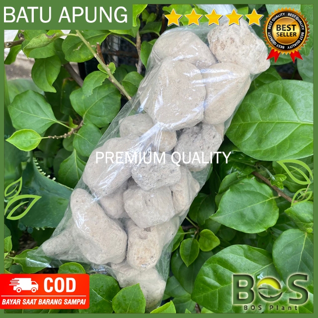 Bosplant - หินภูเขาไฟ 1 กก. บรรจุภัณฑ์ Pond Filter Media Bacteria House Koi Pond Filter