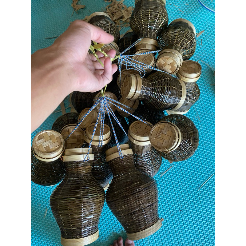 Kepis tanago ลุย/จังหวัด