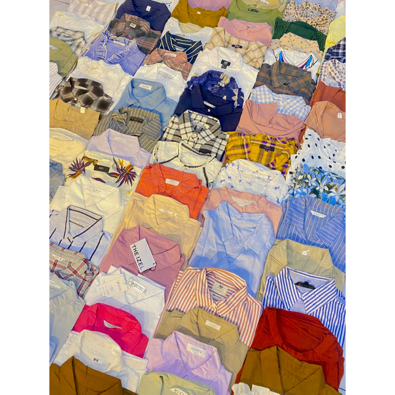 LINK CO LIVE 3.3****