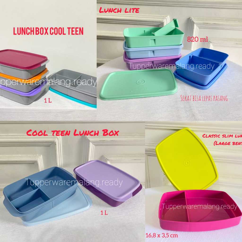 TUPPERWARE COOL TEEN COOLTEEN DEVIDED LUNCH LITE LUNCH BOX