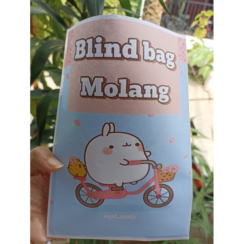 กระเป๋าตาบอดกระดาษสกุชชี่ โมลัง