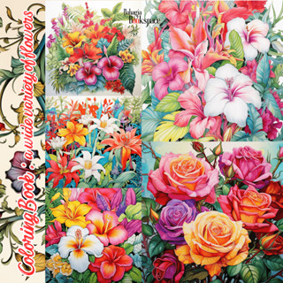 สมุดระบายสีดอกไม้หลากหลายกว้าง