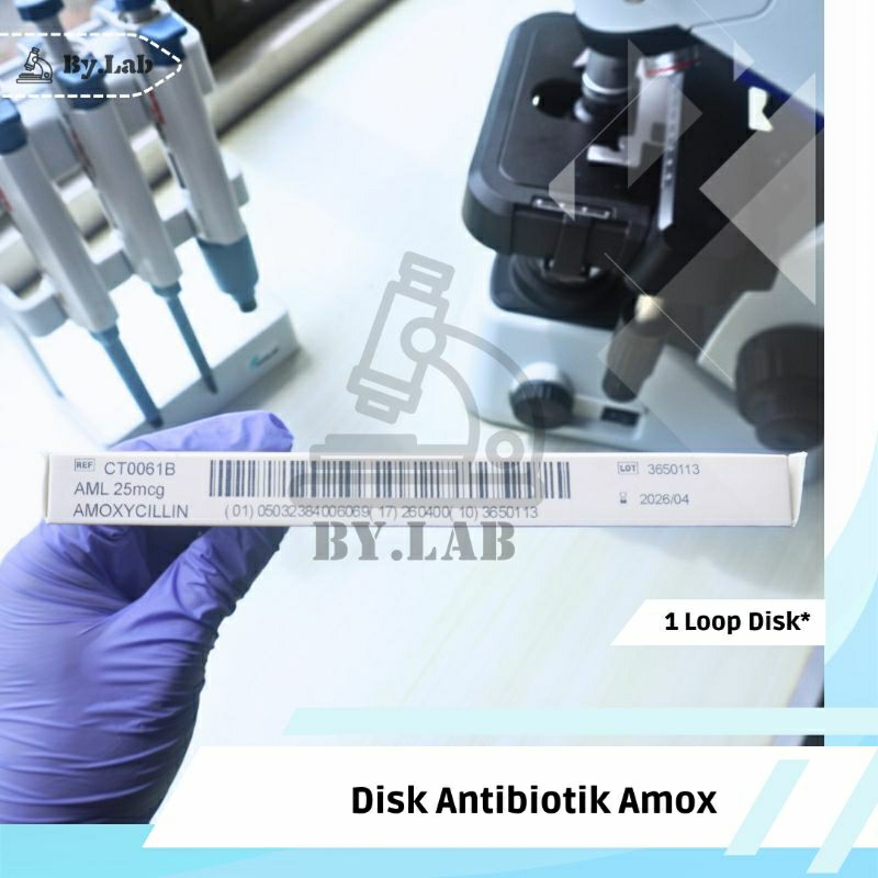 Amox Antibiotic Disk