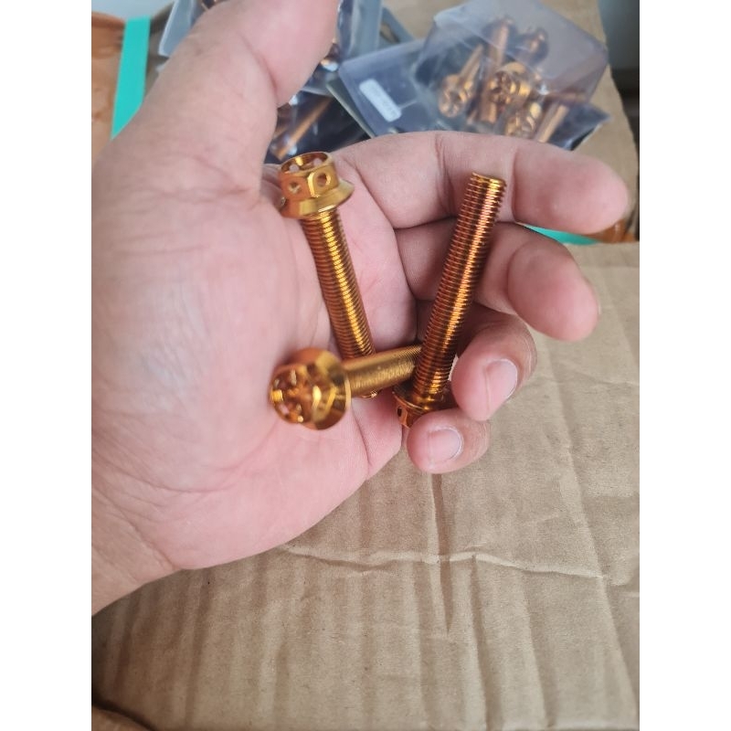 STANLISE CALIPER BOLT M.50 M4.32 M4.34 GP4 RX GP5 RX IMPORT HELIBARS